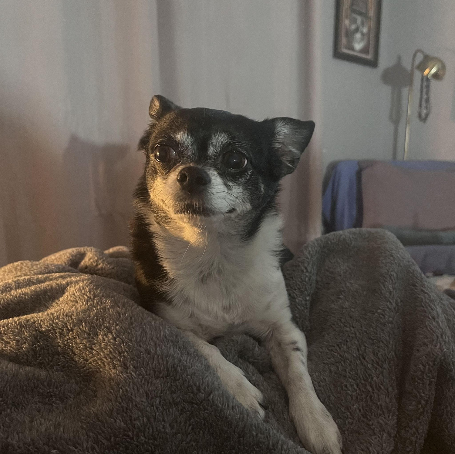 Baby girl, Fiona