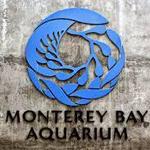 Monterey Bay Aquarium
