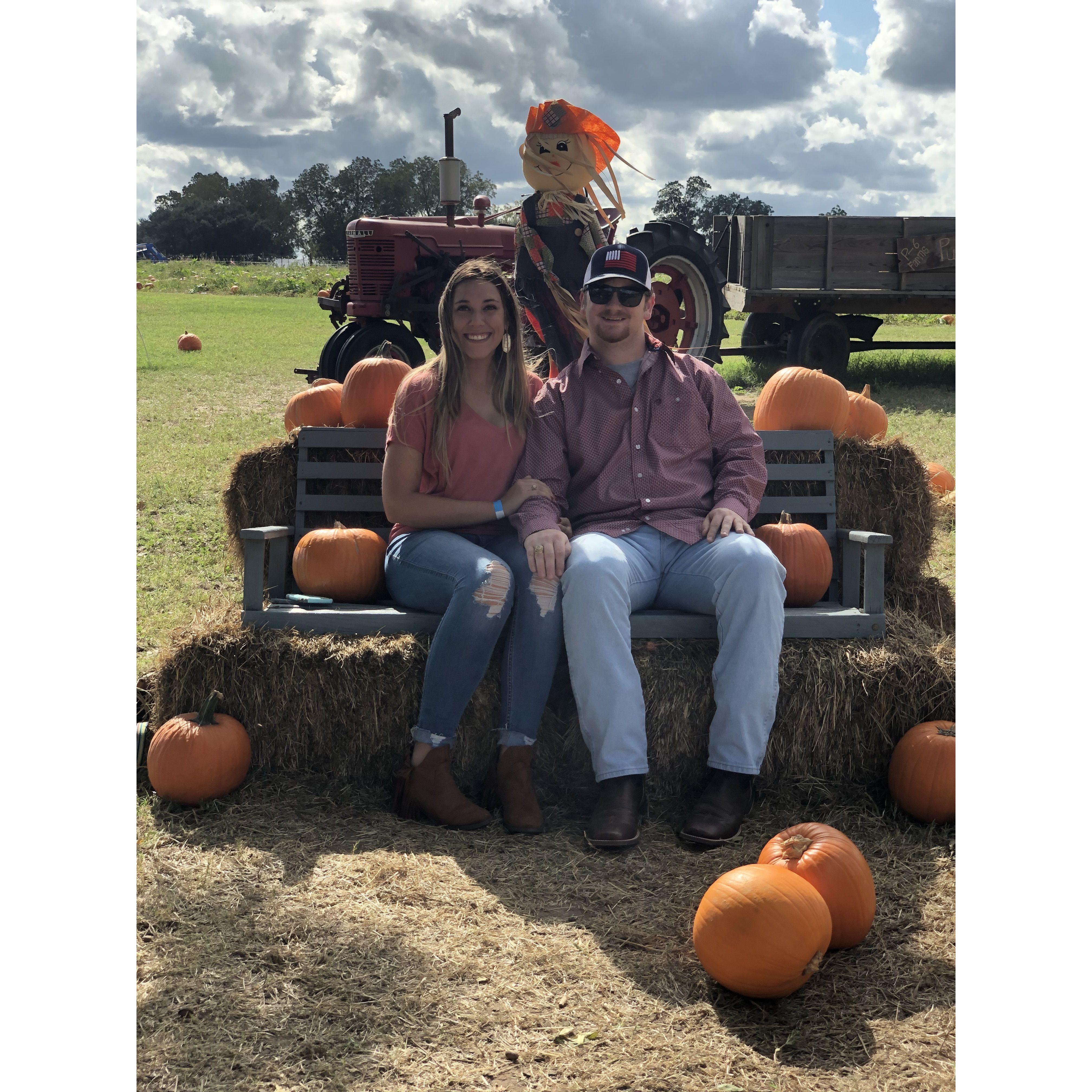 Pumpkin Patch 2019