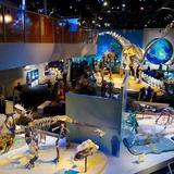 Perot Museum of Nature and Science