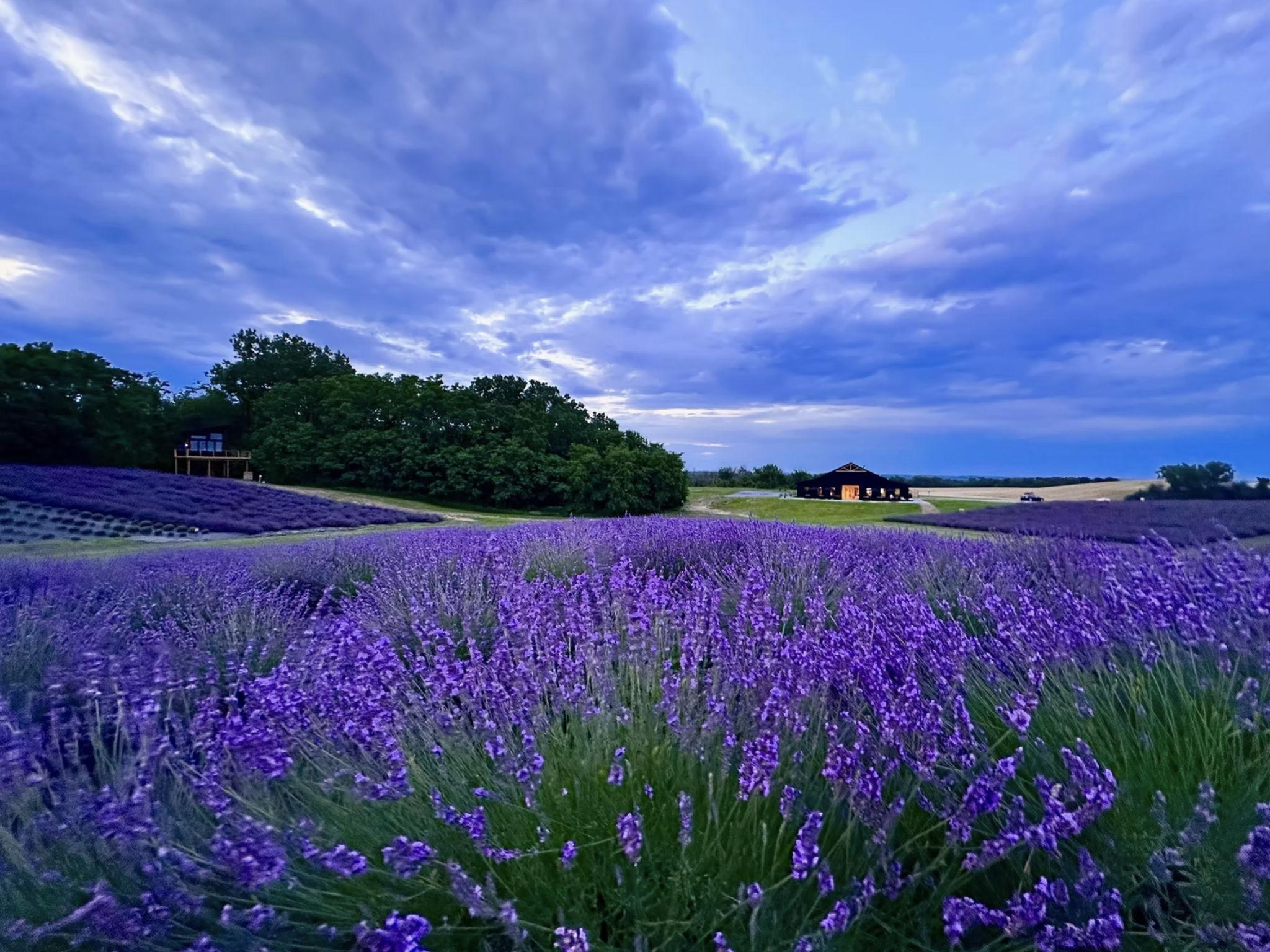 The Wedding Website of Erin Kriener and Brandon Ryan