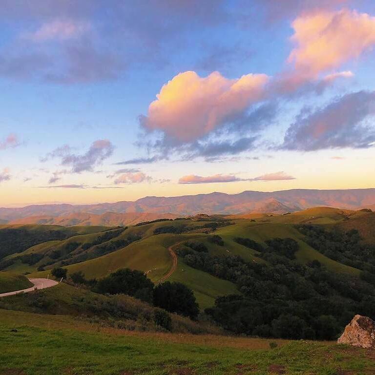 Future Home Fund 💛