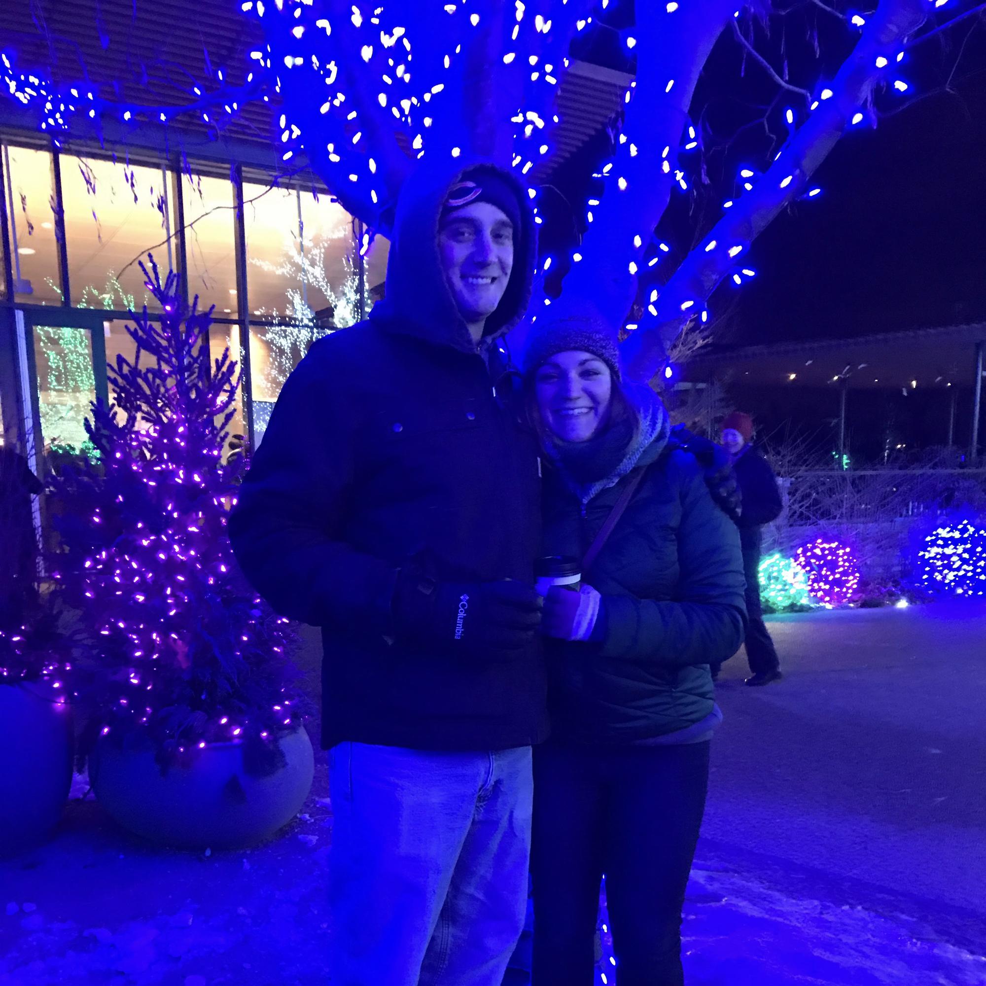 Morton Arboretum Christmas Lights