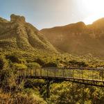Kirstenbosch National Botanical Garden