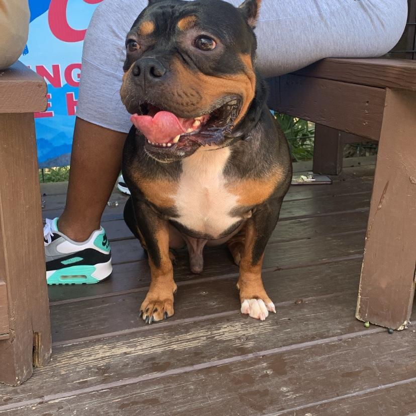 Rex (Brother of Bride)