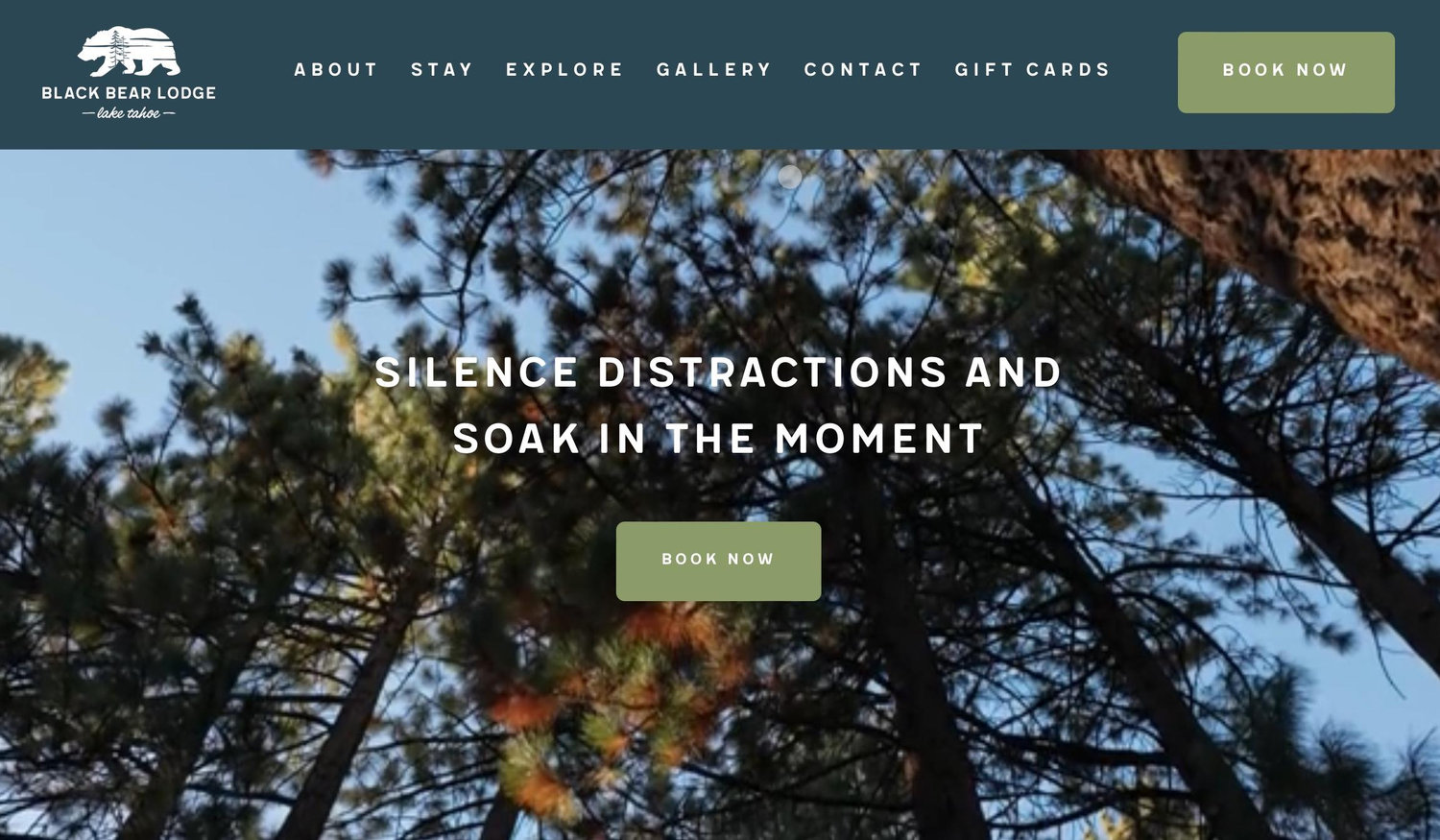 The Wedding Website of Rachel McConnell and Grant Defazio