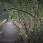Edith L Moore Nature Sanctuary