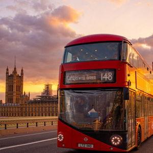 London Bus Tour