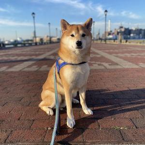 Kewi's Fund