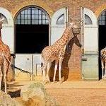 London Zoo