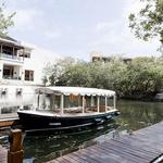 Boat Tours