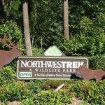 Northwest Trek Wildlife Park