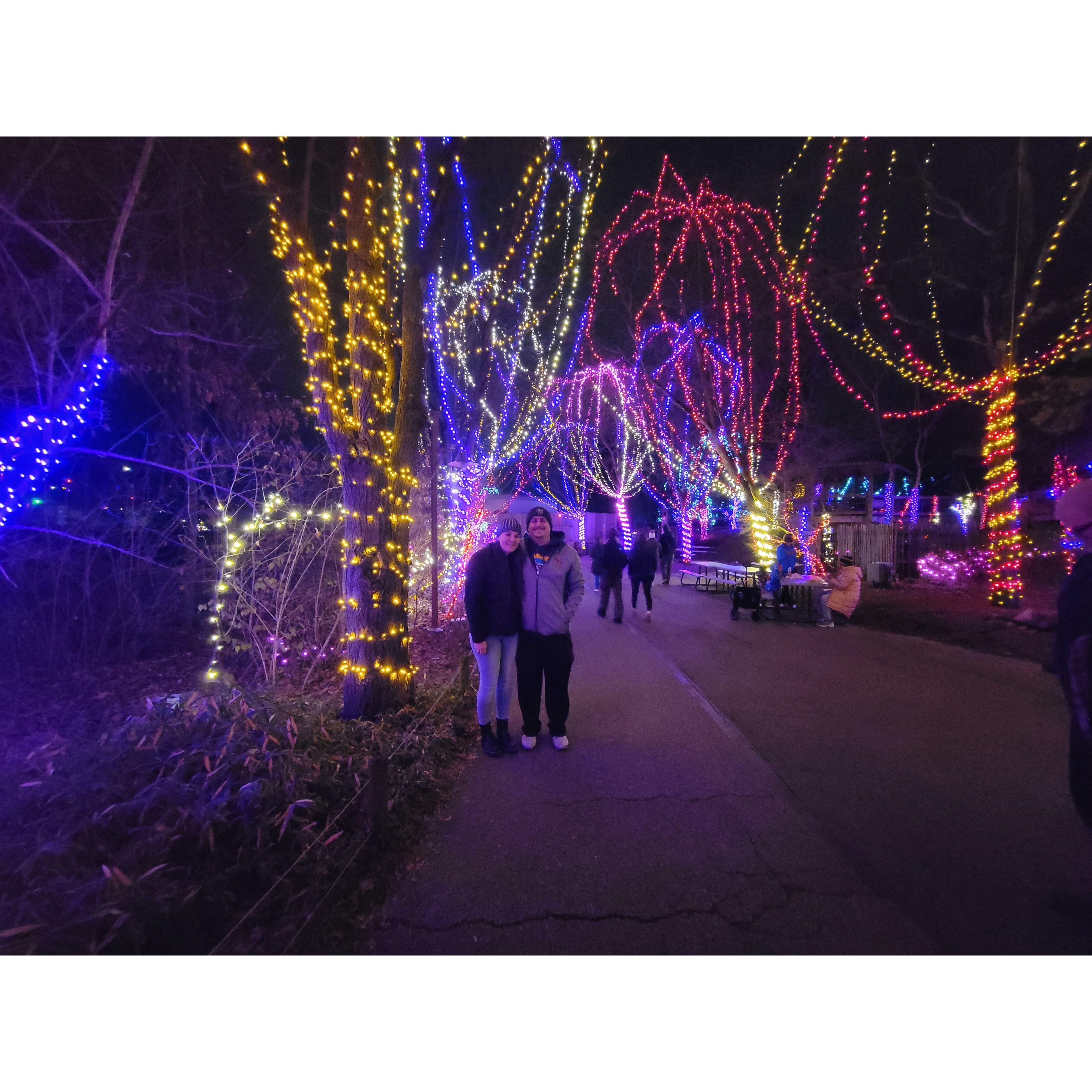 Zoo Lights, (2023)