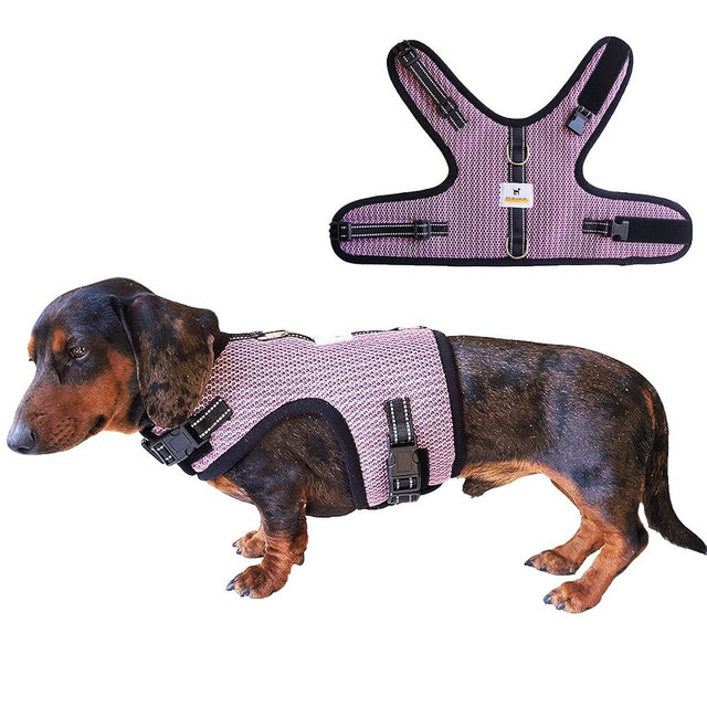 Rabbit Dachshund Harness Vest, No Pull & No Armpit Rub Dachshund Harness, Escape Proof Adjustable Dog Harness for Walking (Pink, XS: Chest 10"-12"/25-31cm,for Puppies & Rabbit Dachshunds)