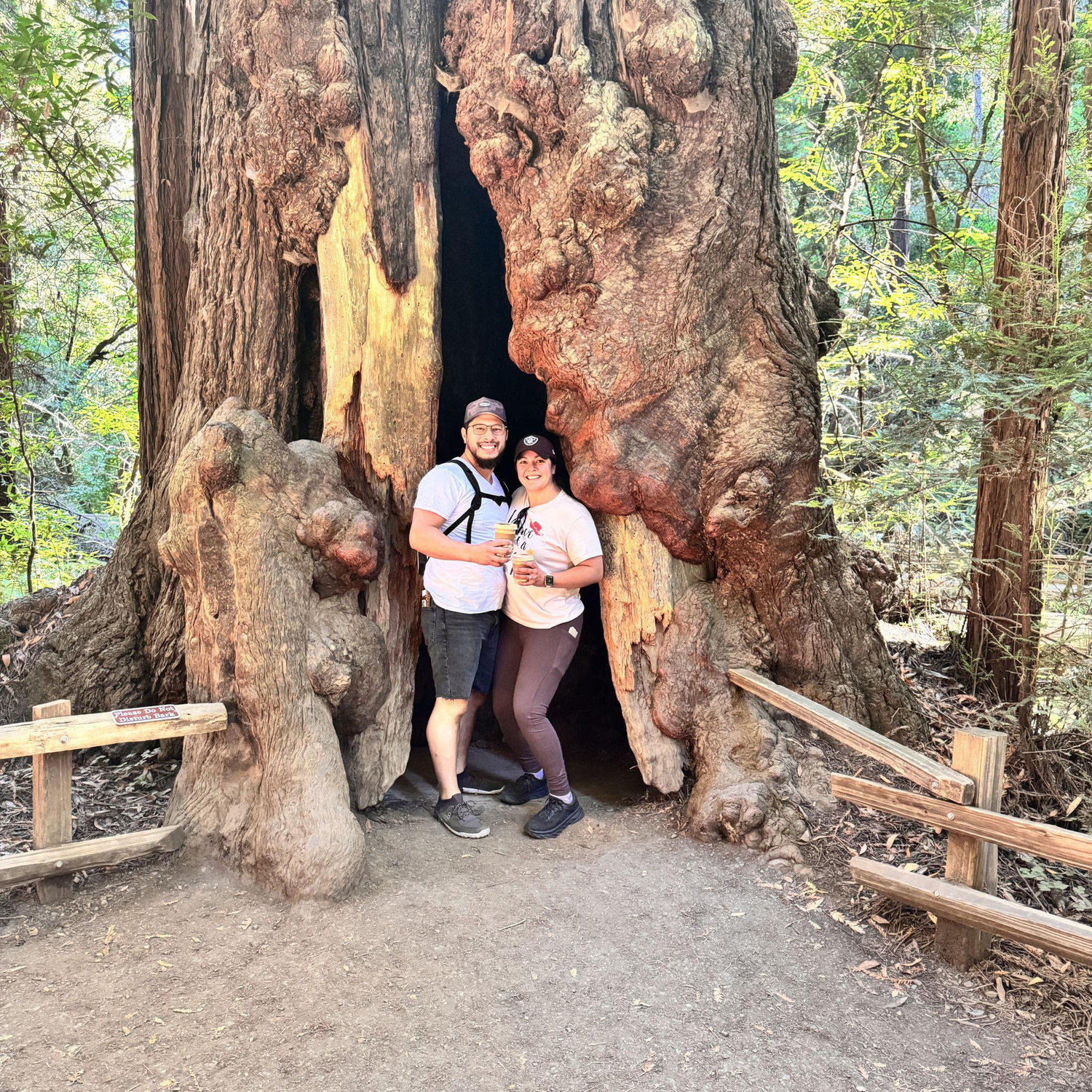 Muir Woods