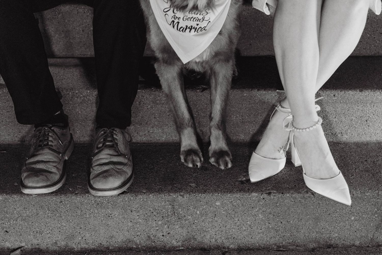 The Wedding Website of Niki Myerson and Shawn Bough
