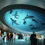 Phillip and Patricia Frost Museum of Science