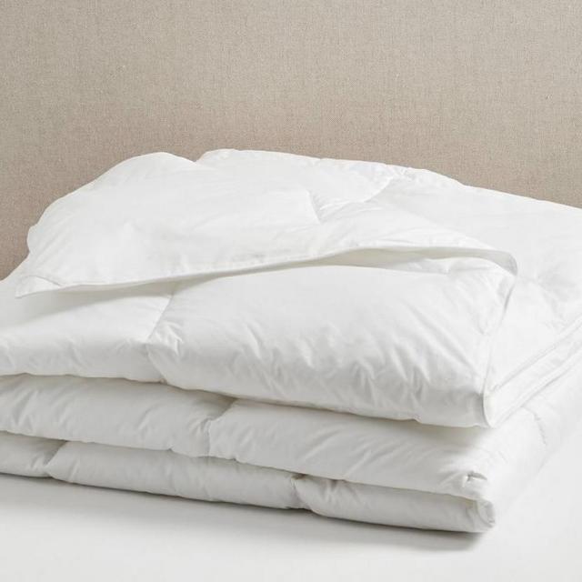 Pottery Barn Duvet Insert