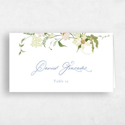 Blue Bordered Wedding Place Card - Erica