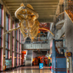 Grand Rapids Public Museum