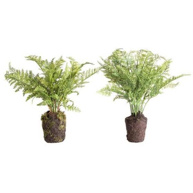 Faux Fern Drop-In (10.5), McGee & Co