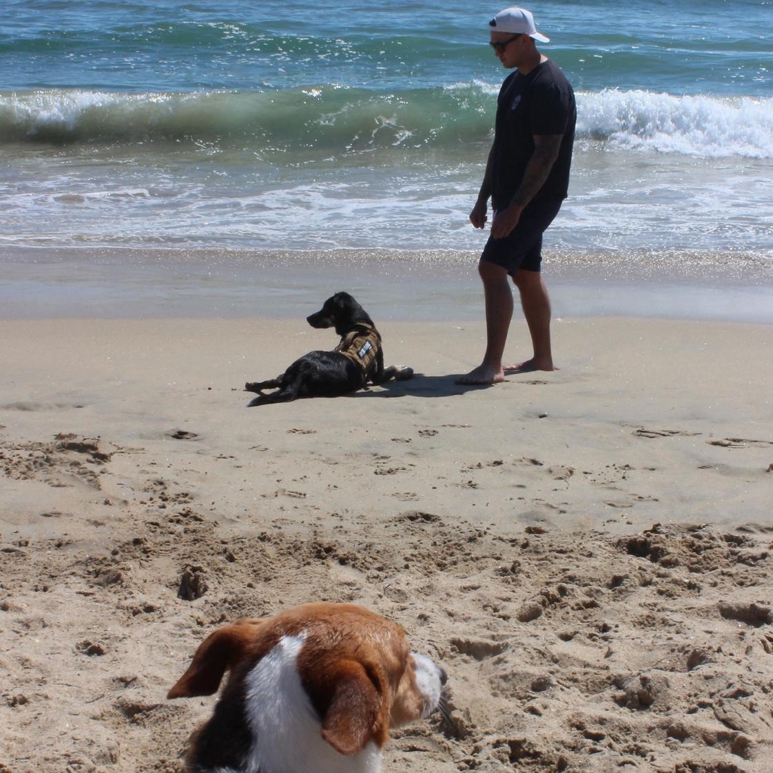 Beach day with our girls, Cassie & Kona