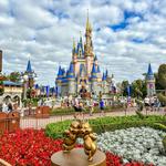 Disney | Magic Kingdom Park