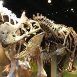 Perot Museum of Nature and Science