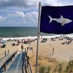 Nauset Beach
