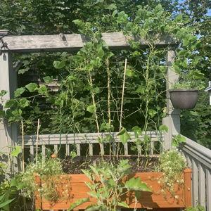 Garden Tools and Equipment