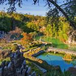 Japanese Tea Garden