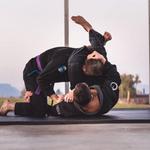 Martial Arts: Higs Performance Academy