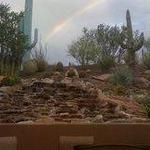 Desert Foothills Library
