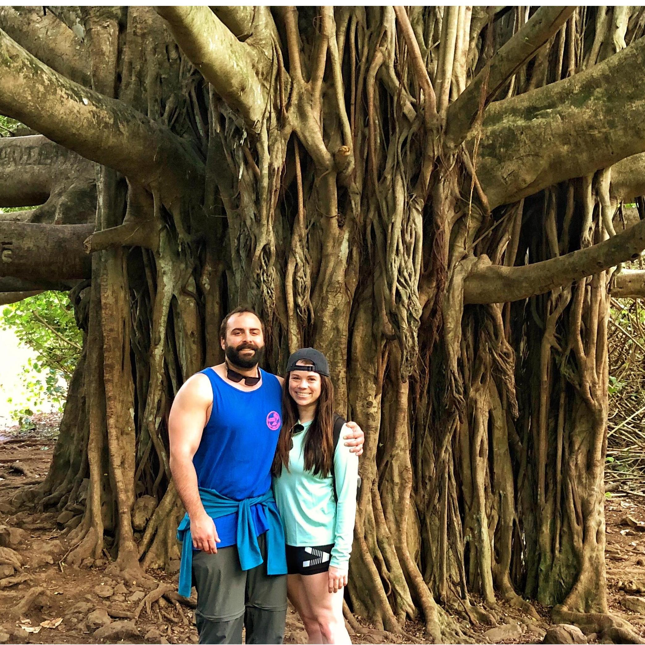 Road to Hana, Maui, March 2018