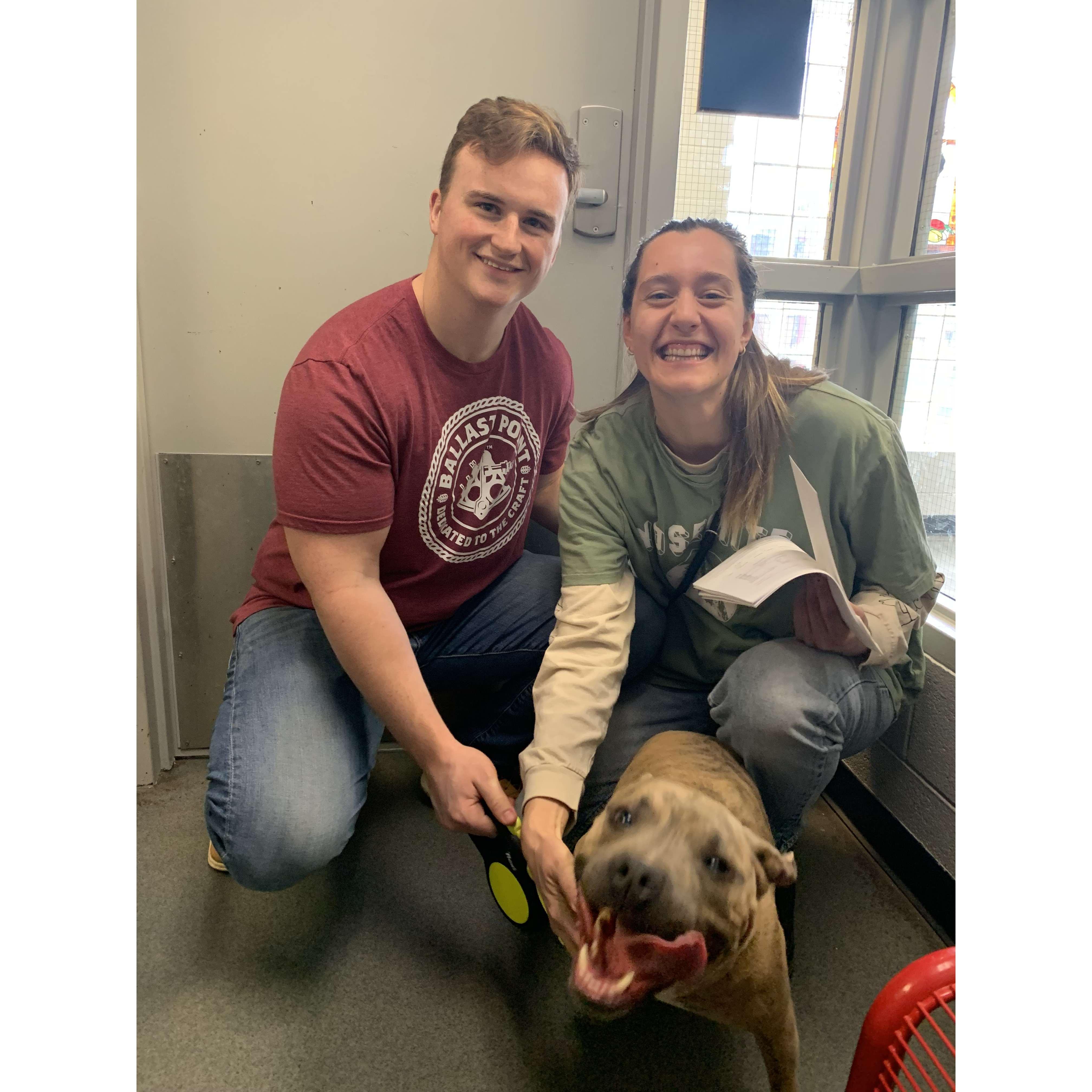 Adoption day! 