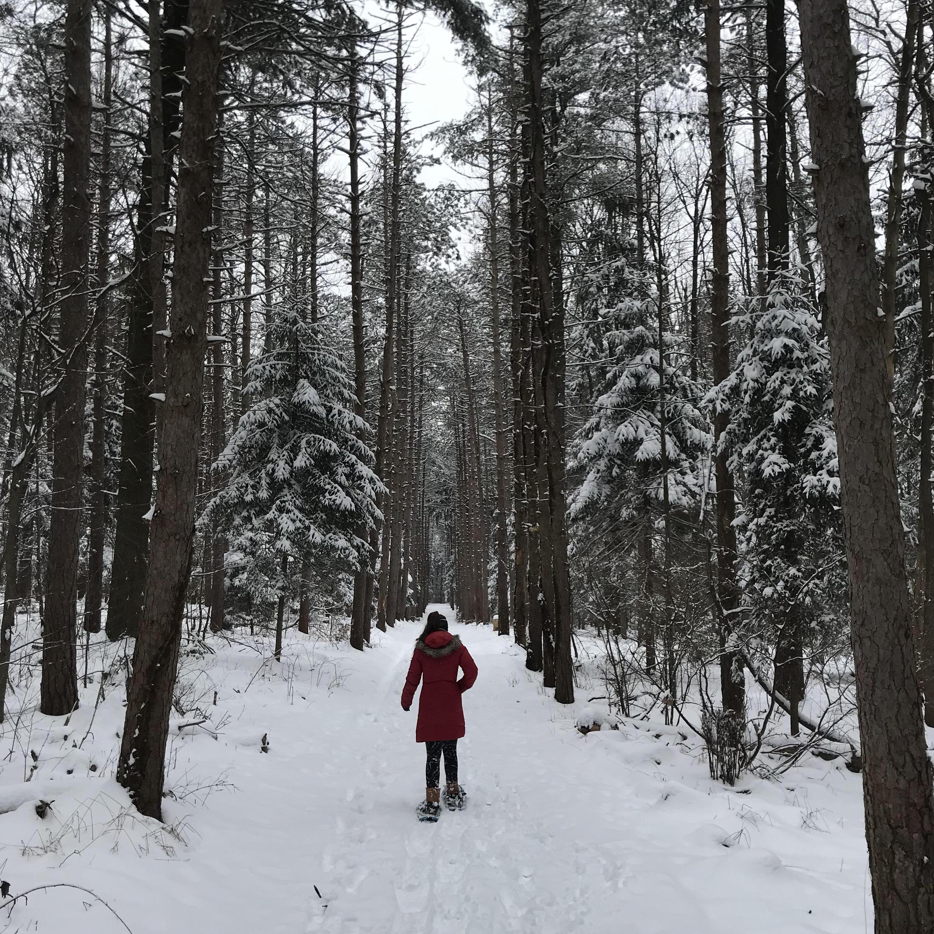 snowshoeing in Nolde Forest, 2019