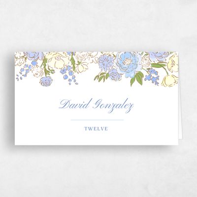 Dark Pastel Blue Wedding Place Card - Colombe