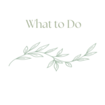 Calvert Cliffs State Park