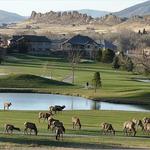 Mariana Butte Golf Course