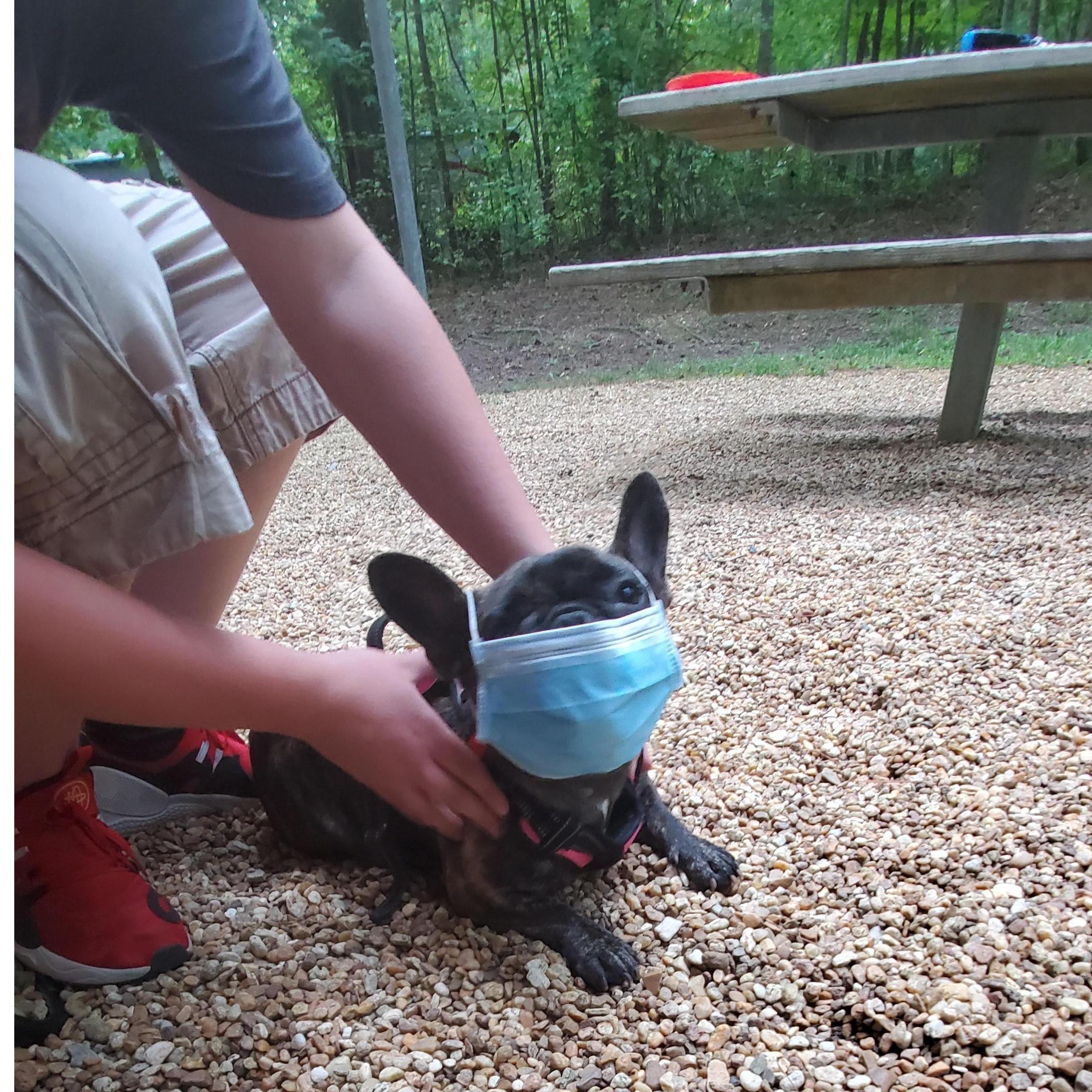 Corbin thought Remi needed to stay safe from COVID too.