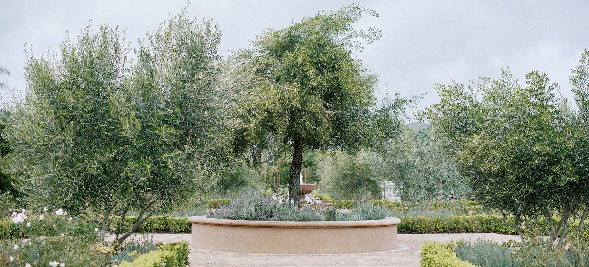 The Wedding Website of Emily Armstrong and Parker Dubreuil