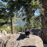 Bigger Adventures