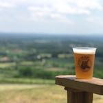 Dirt Farm Brewing