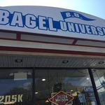 Bagel University