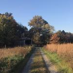 The Laurels Preserve