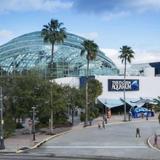 The Florida Aquarium