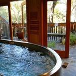 Yosemite Bug Rustic Mountain Resort