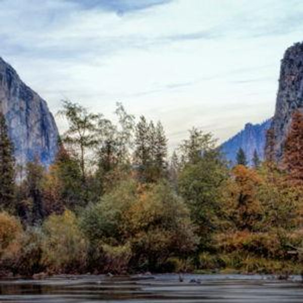 National Parks Pass