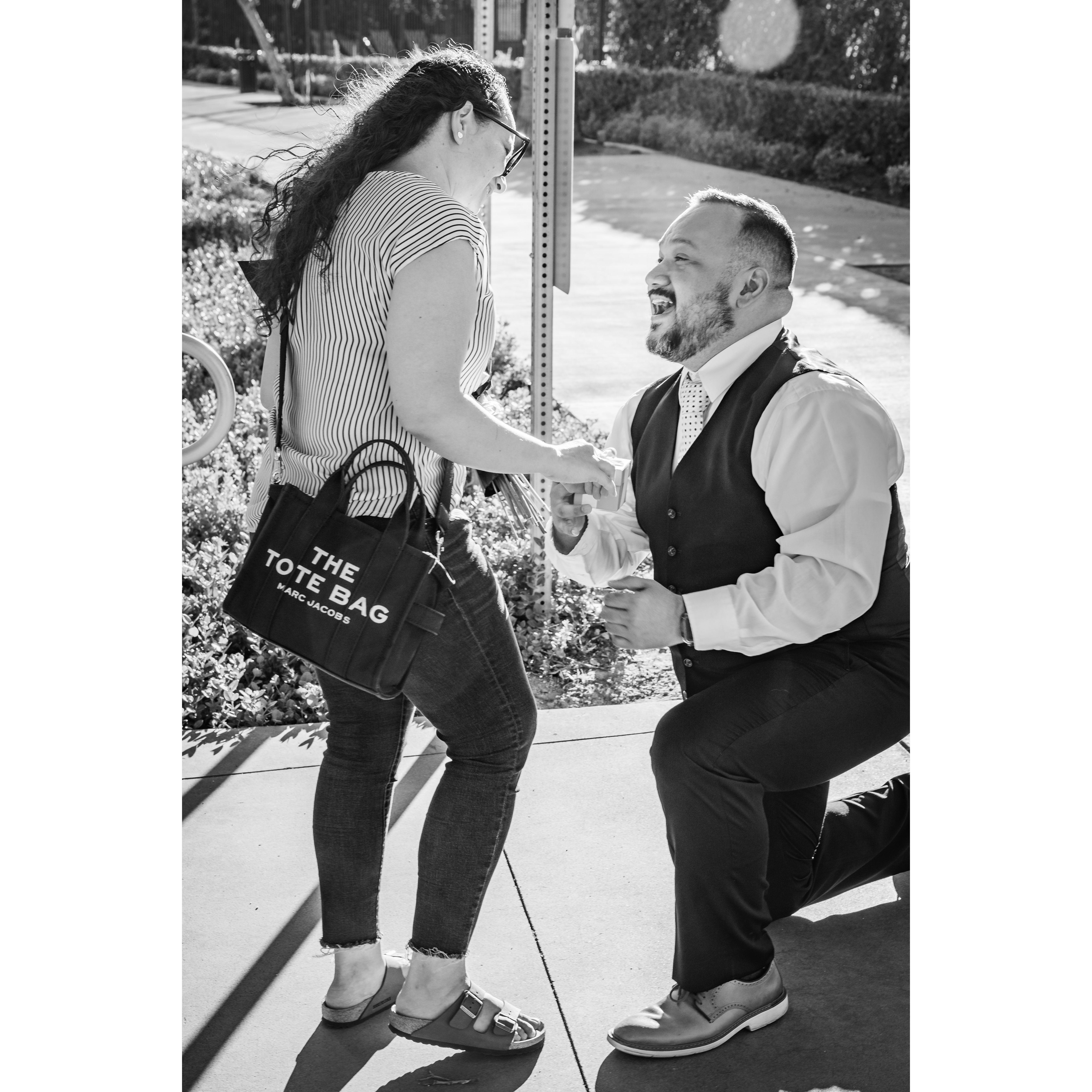 Raul proposed at Dos Lagos in Corona.