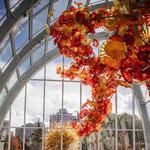 Chihuly Garden and Glass